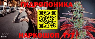 амф Севастополь