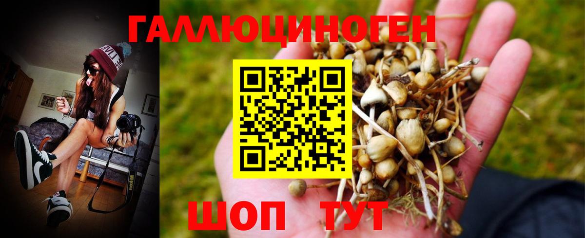Галлюциногенные грибы Psilocybe  Галлюциногенные грибы Cubensis  Вход с VPN  Рассказово 